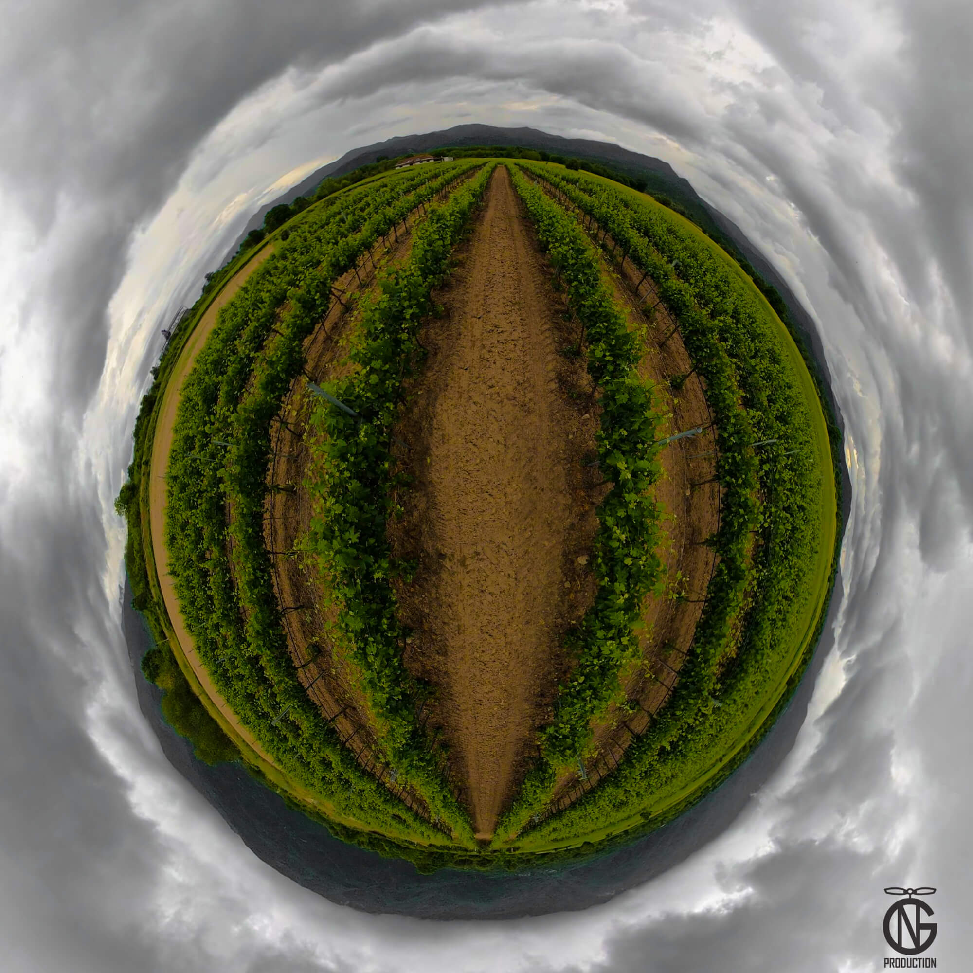 Vineyard tiny-planet 360° view from Anatoli, Serres—spring, rain-washed vines under storm-grey clouds with a dirt track.