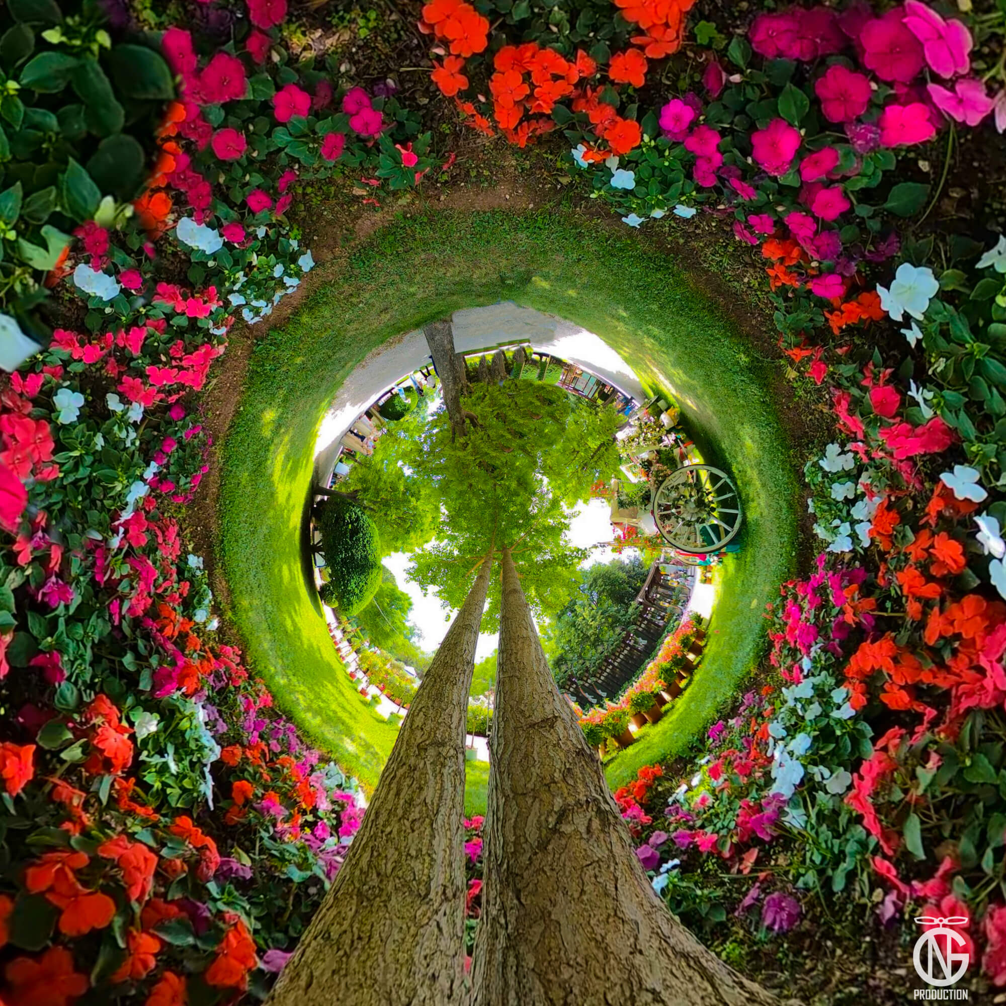 Tiny-planet 360° floral world at Kifissia Flower Exhibition, Athens—ring of impatiens around central trees.