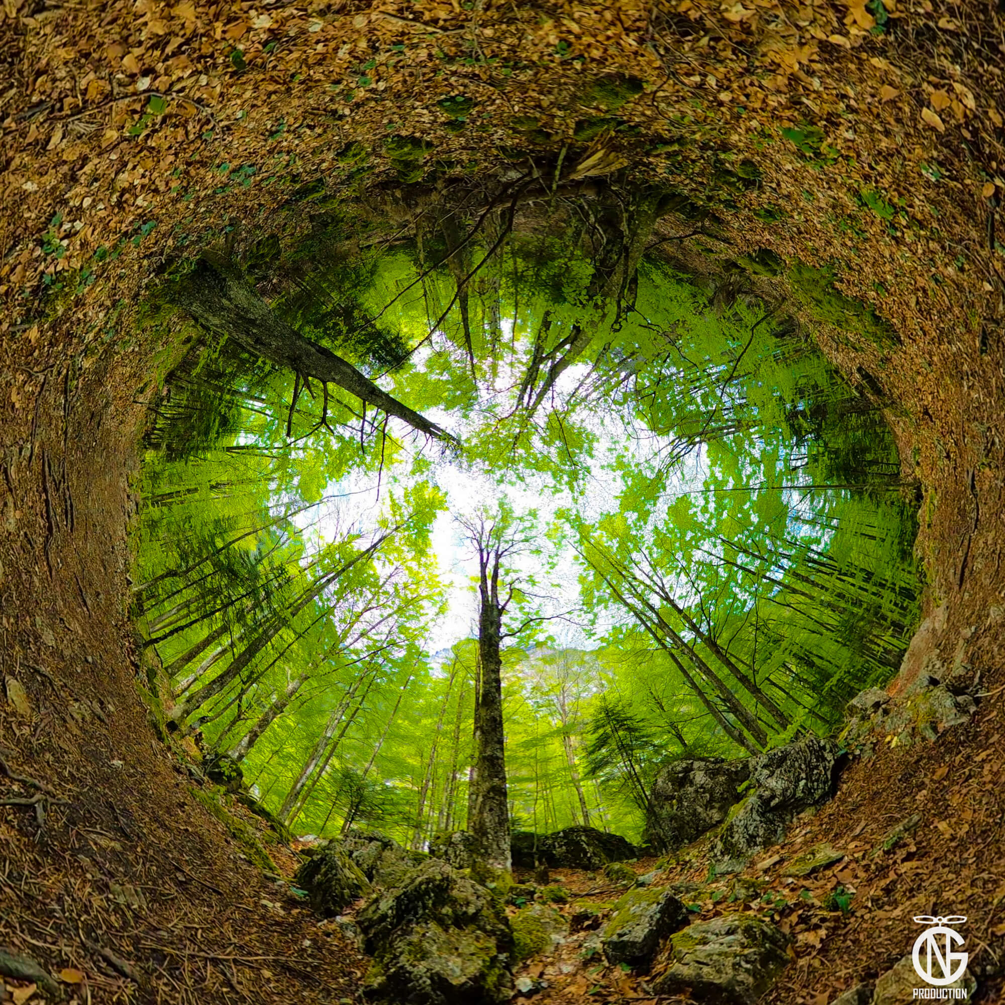 Inverted tiny-planet 360° view of Prionia forest, Mount Olympus, with trees circling a bright sky.