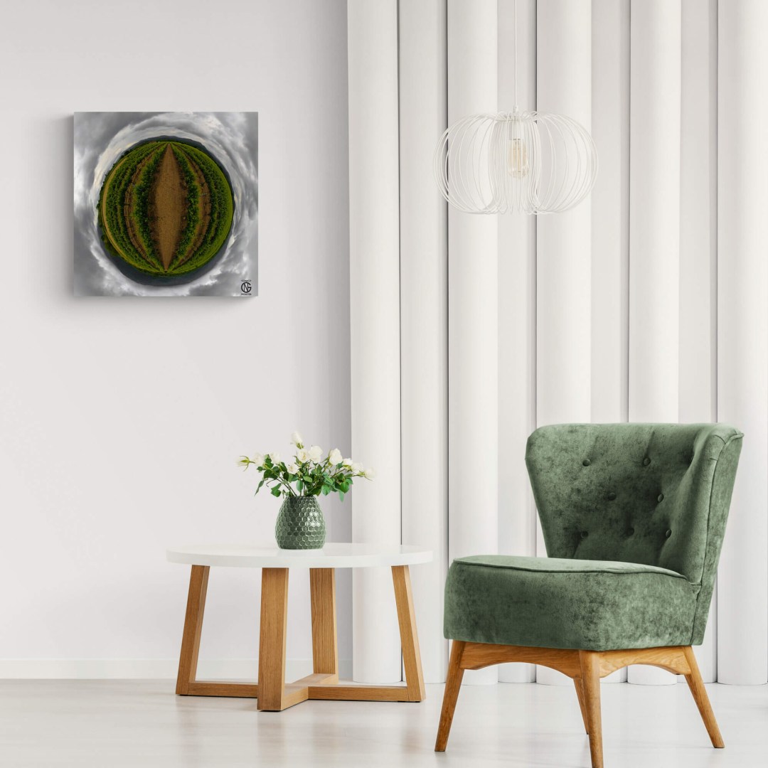 Nature 360° canvas of vineyards in bright living room — Serres, Greece