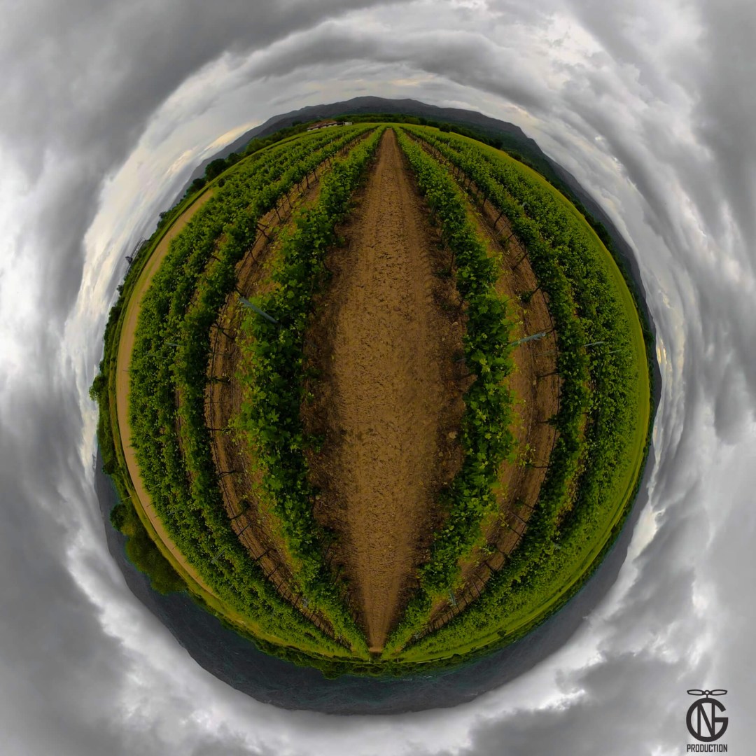 Vineyard tiny-planet 360° view from Anatoli, Serres—spring, rain-washed vines under storm-grey clouds with a dirt track.