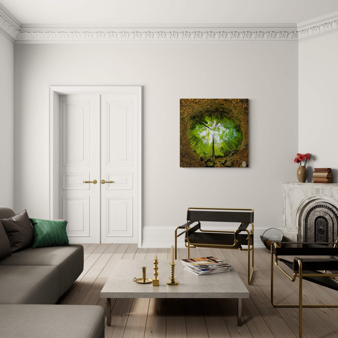 Mount Olympus Prionia inverted forest canvas in a classic living room.