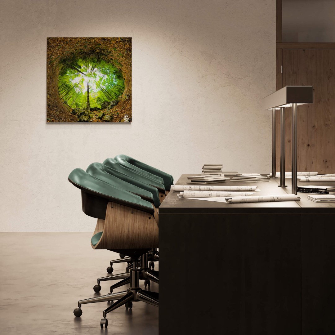 Modern office with Mount Olympus Prionia inverted 360° forest canvas on the wall.